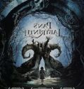 Pan’ın Labirenti / El laberinto del fauno / Pan’s Labyrinth izle